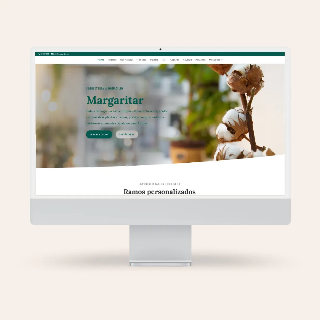 diseño web barcelona precios