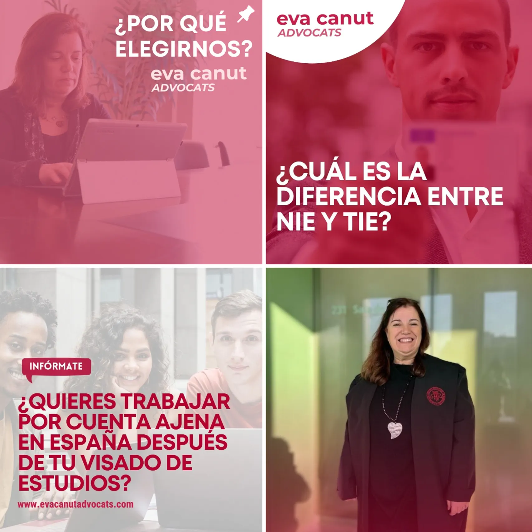 presupuesto redes