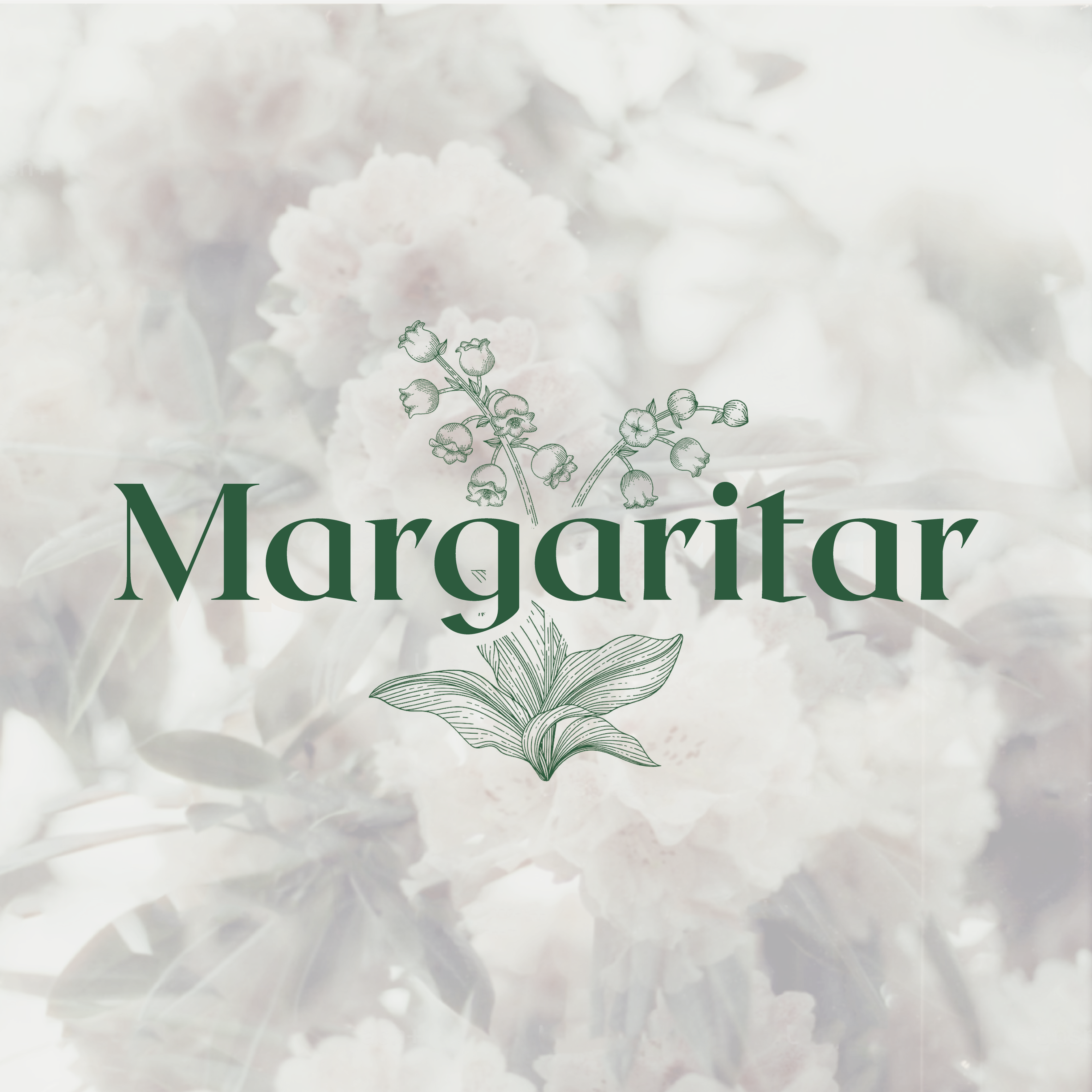 Branding e identidad visual