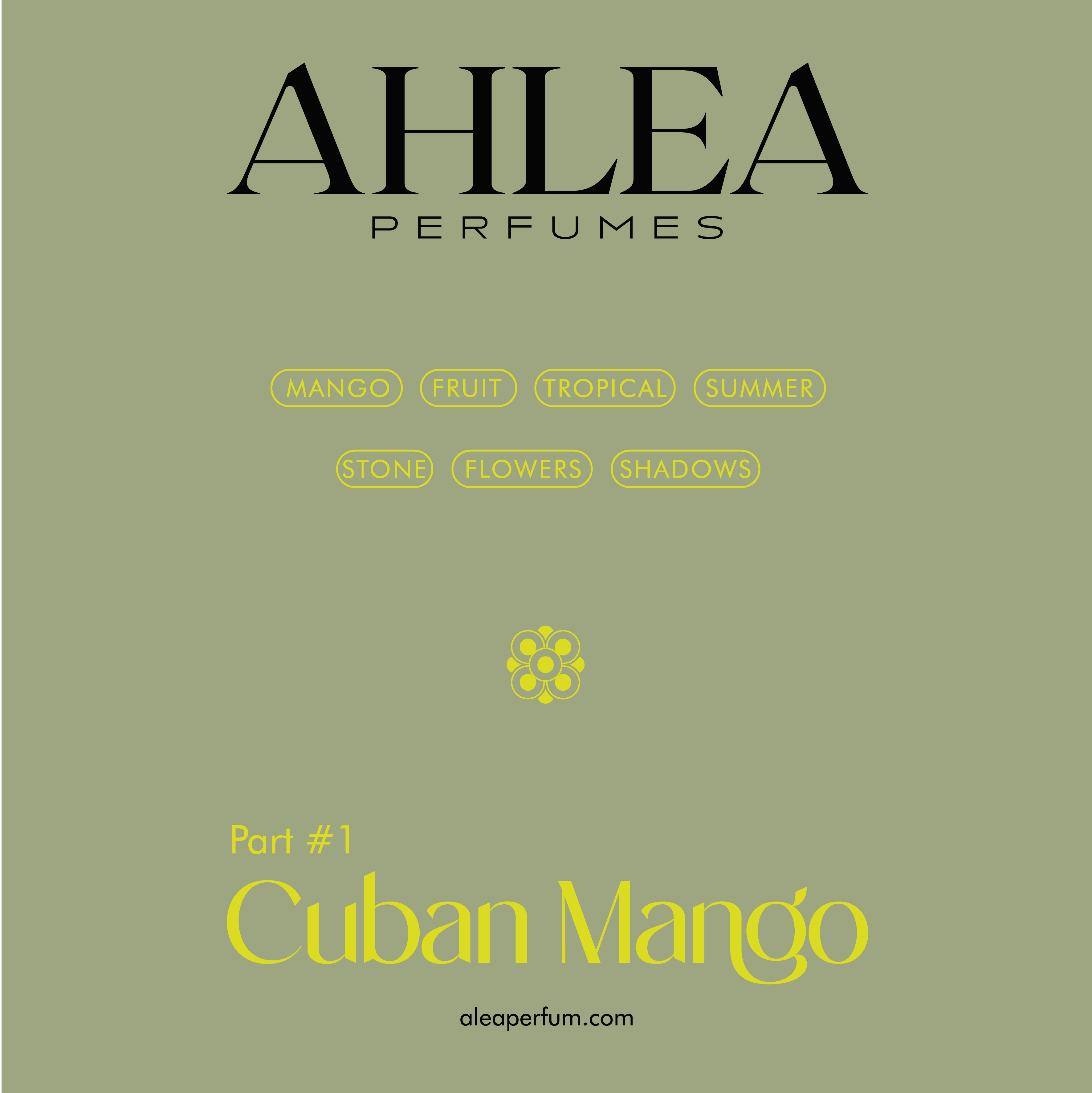 agencia packaging