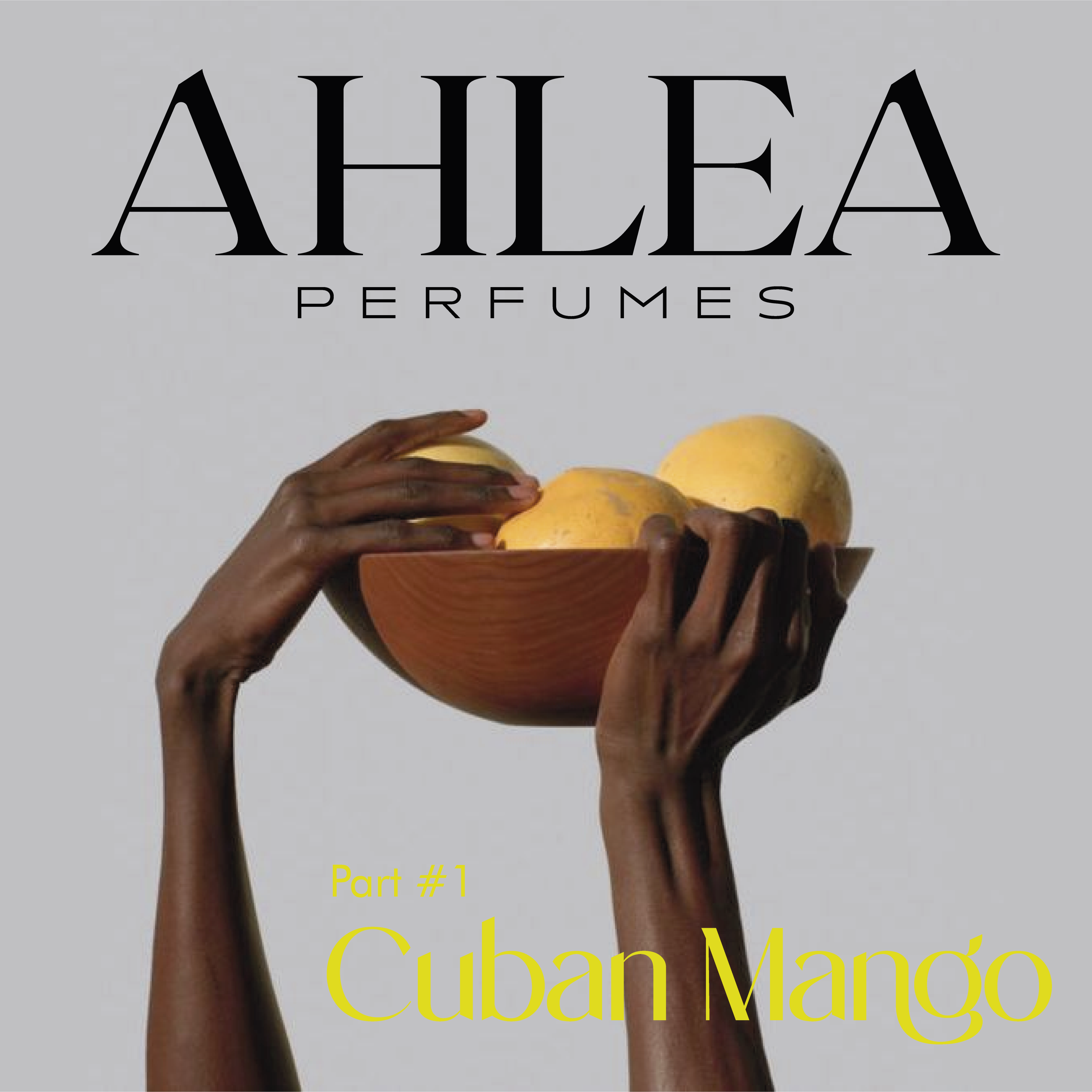 diseño de logotipo